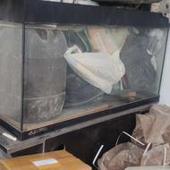 آکواریوم شیشه ده میل. پایه کمد دار ام دی اف