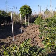 نصب فنس وپایه فنس