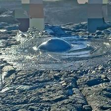 تور ویژه گردشگری