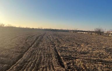 فروش زمین کشاورزی 6700 متر در جاده بهنمیر