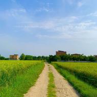 200 متر زمین بی نظیر برای ویلا یا خانه باغ