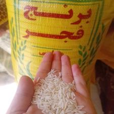 برنج فجر محلی
