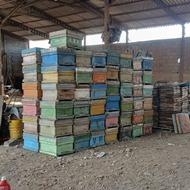 فروش جعبه زنبور و شانه