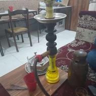 قلیلان میوه ای