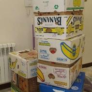 16 عدد کارتن موزی