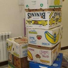 16 عدد کارتن موزی