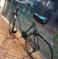 دوچرخه فونیکس