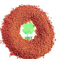 بذریونجه نگین بذرطاها