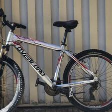 دوچرخه اورلورد 26