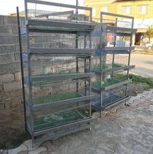 فروش 4 عدد قفس بلدرچین