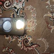 سنگ قیمتی و استسنایی