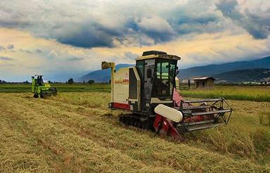 اجاره زمین کشاورزی . شالیزار