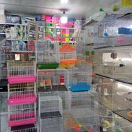 قفس و لوازم پرنده