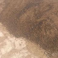 پخش انواع کود حیوانی