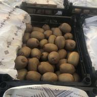 فروش 17 تن کیوی