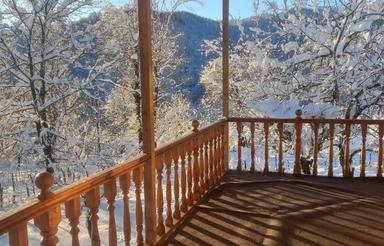 ویلا اجاره ای جنگلی