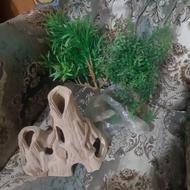 درختچه و قلعه داخل اکواریوم