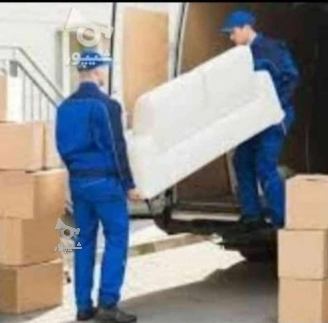 باربری عباسی در تمام نقاط کشور