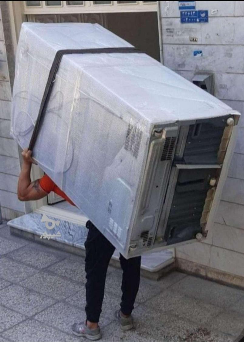 باربری عباسی در تمام نقاط کشور