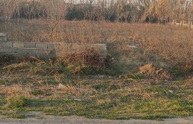 فروش زمین مسکونی 1000متری در جاده دریا روستای مزرود