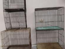 قفس قفس پرنده قفس کفتر قفس بزرگ قفس در شیپور