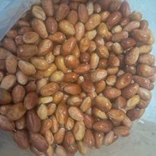 سنجد محلی کیلویی