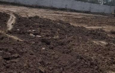 نیازمند اجاره زمین برای تولید نهال مرکبات