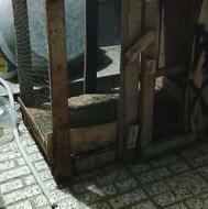 گنجه یا قفس حیوانات