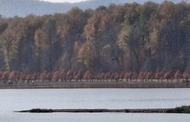 اجاره ملک تجاری و صنعتی 400 متری در کمربندی جانبازان به امام