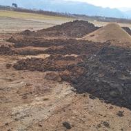 کود گاوی و گود گوسفندی