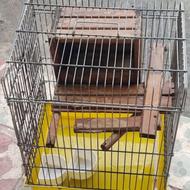 قفس پرنده قفس طوطی