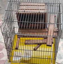 قفس پرنده قفس طوطی