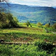 زمین مسکونی با ویو ابدی