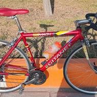 کورسی جاینت