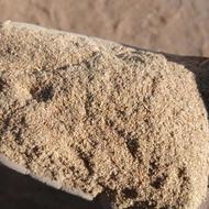 سبوس گندم درجه یک