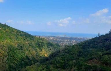 زمین3200متری جواهرده ویو دریا و جنگل و شهر