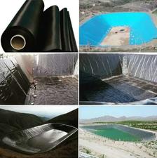 ورق استخر شهریار