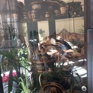 سرویس سرمه ایی 12 نفره