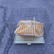 قفس کوچک پرنده