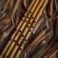 آموزش ساز نی