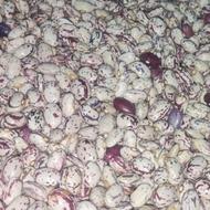 لوبیا چیتی سراب بوجاری و دست‌چین شده 1404