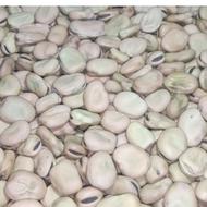 باقالی (باقلا) خوشپخت بوجاری شده محصول 1404