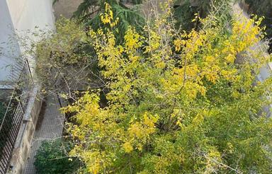 240متر با125متر سهم از زمین