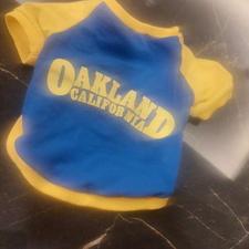 لباس سگ سایز s