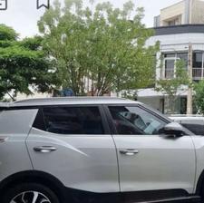 تیولی 2016 بی رنگ