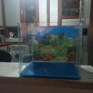 آکواریوم شیشه خم خارجی نو