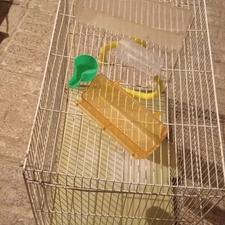 قفس پرنده معاوضه