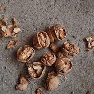 800کیلوگردوپارسال تمیز قیمت توافق سردشت روستای بنوخلف