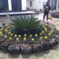 طراحی وزیرسازی باغچه.اصلاح چمن وحرص کاری