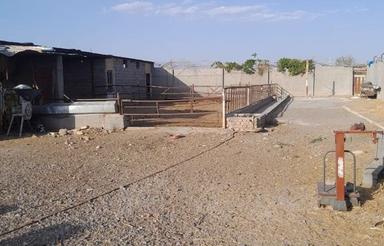 باسلام فروش دامداری‌باپروانه‌بهره‌برداری